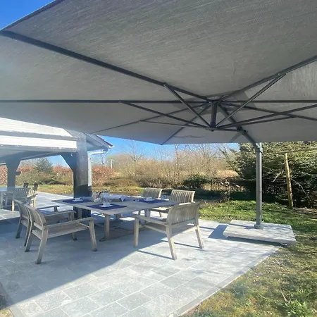 Modern In With Garden